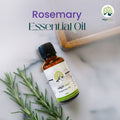 Rosemary Oil