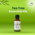 Tea Tree Oil