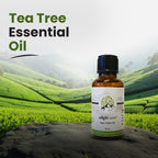 Tea Tree Oil